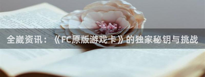 辉达娱乐app下载：全崴资讯：《FC原版游戏卡》的独家秘钥与