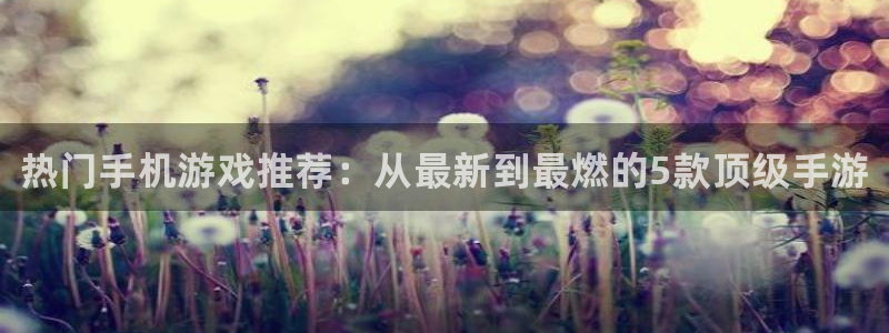 辉达娱乐登陆地址