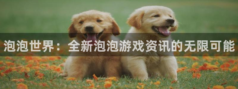 辉达娱乐在线登录：泡泡世界：全新泡泡游戏资讯的无限可能