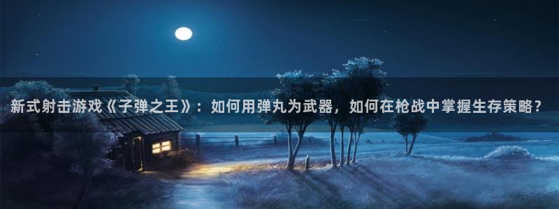 辉达娱乐注册服务条款：新式射击游戏《子弹之王》：如何用弹丸为