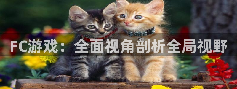 辉达娱乐平台官方网站