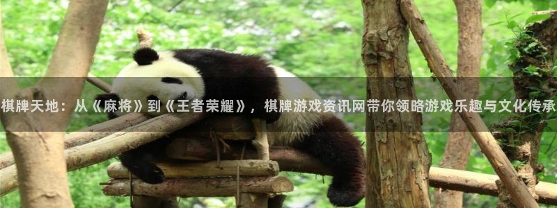 辉达娱乐注册服务条款：棋牌天地：从《麻将》到《王者荣耀》，棋