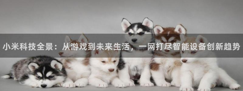 辉达娱乐网页登录入口下载：小米科技全景：从游戏到未来生活，一