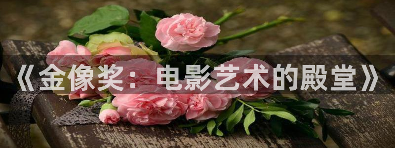 小九直播nba免费观看下载：《金像奖：电影艺术的殿堂》