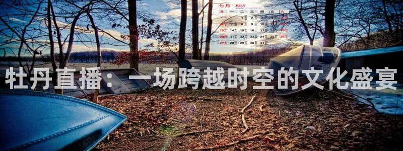 小九直播篮球：牡丹直播：一场跨越时空的文化盛宴