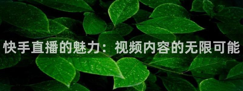 新闻图片